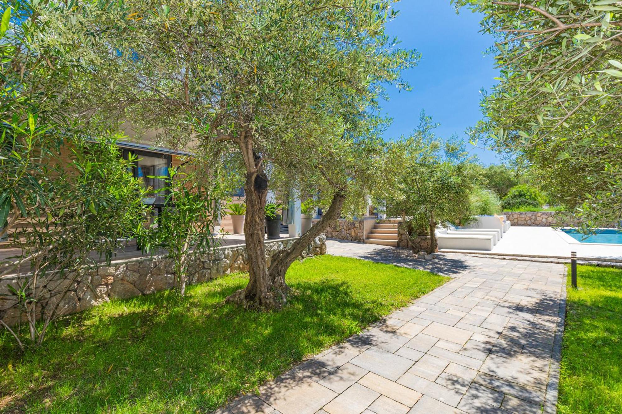 Oliveto Residence Bungalows - Adults Only Punat Esterno foto